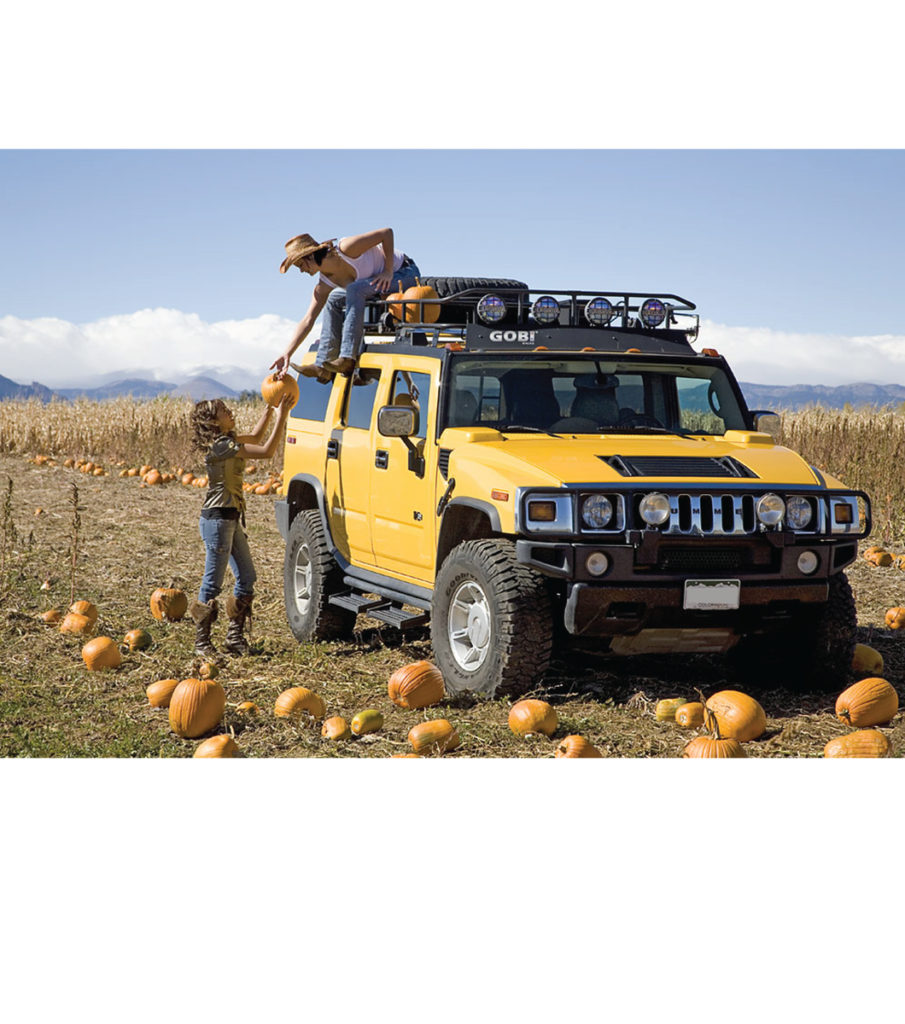 GOBI Racks
