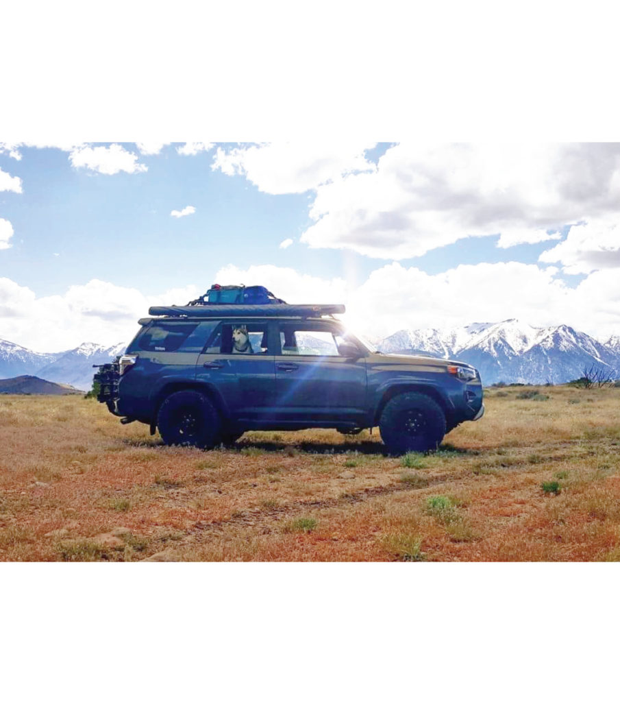 GOBI Racks